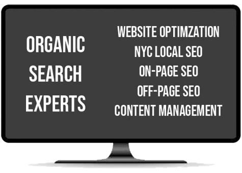 nyc organic search experts